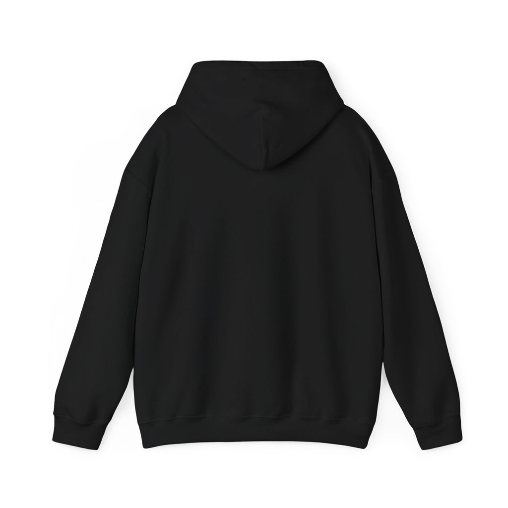 Move with confidence, but keep your plans private Hoodie