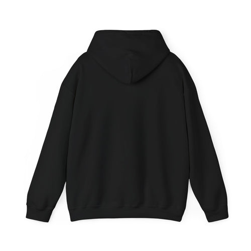 Move with confidence, but keep your plans private Hoodie